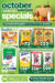 Leaflet Image1
