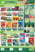 Leaflet Image4
